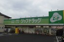ZIPドラッグ膳所店(ドラッグストア)まで500m ハイツ初田