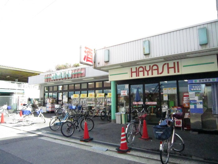 ハヤシ(スーパー)まで107m カ－ライル堺市駅前