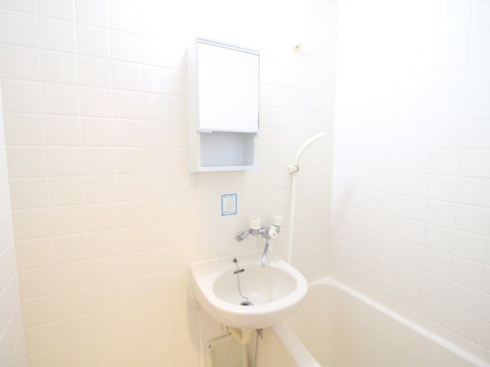 洗面 リヴ・ロイヤル