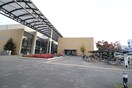 大阪市住吉区役所(役所)まで260m フジパレス沢ノ町Ⅲ番館
