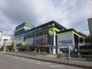 森ノ宮ロイヤルホームセンター(電気量販店/ホームセンター)まで715m フォレスタ　カササギ