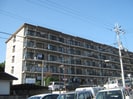 チュリス石山の外観
