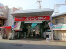 いしばし商店街(ショッピングセンター/アウトレットモール)まで880m 住吉１丁目借家