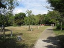 岡崎公園(公園)まで500m 岡崎ミントビル