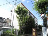 クリーク大桐