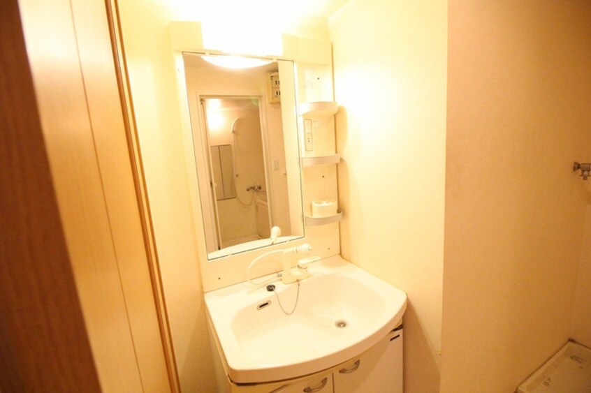 洗面 サンクレイドルカメヤマ