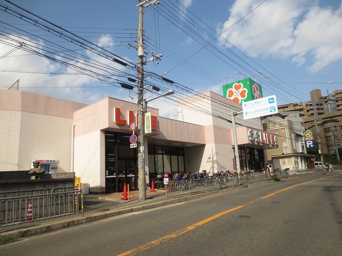 ライフ(スーパー)まで446m 仮)HGS TOYOTSU