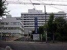 NTT病院(病院)まで200m メゾン松ヶ鼻