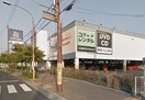 TSUTAYA(ビデオ/DVD)まで976m エレガントハイツ