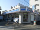 ローソン(コンビニ)まで350m ｼｬﾄｰ金城