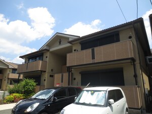 ワイズコート　C