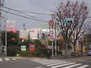 コープ(スーパー)まで760m コ－ポ大社