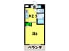 ビジタル丸山通５ 1Kの間取り