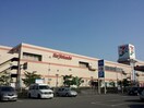 イトーヨーカドー加古川店(ショッピングセンター/アウトレットモール)まで1100m 第３２９川辺ビル