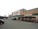 キリン堂加古川別府店(スーパー)まで850m 第３２９川辺ビル