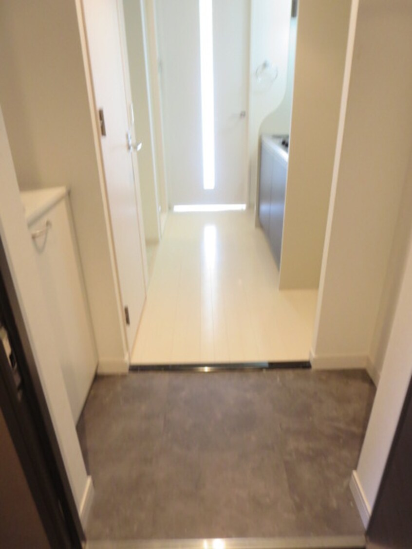 玄関 プレミアムステージ京大前(404)