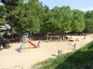 樋之池公園(公園)まで200m ＫＤＸﾚｼﾞﾃﾞﾝｽ夙川ヒルズ3番館