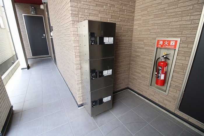 その他 エル　ソフィー