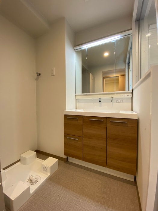 洗面 望園荘ウィル南田辺５丁目