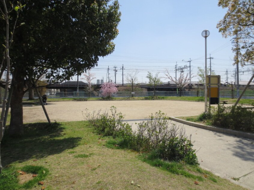 清水公園(公園)まで500m アンブラッセⅡ