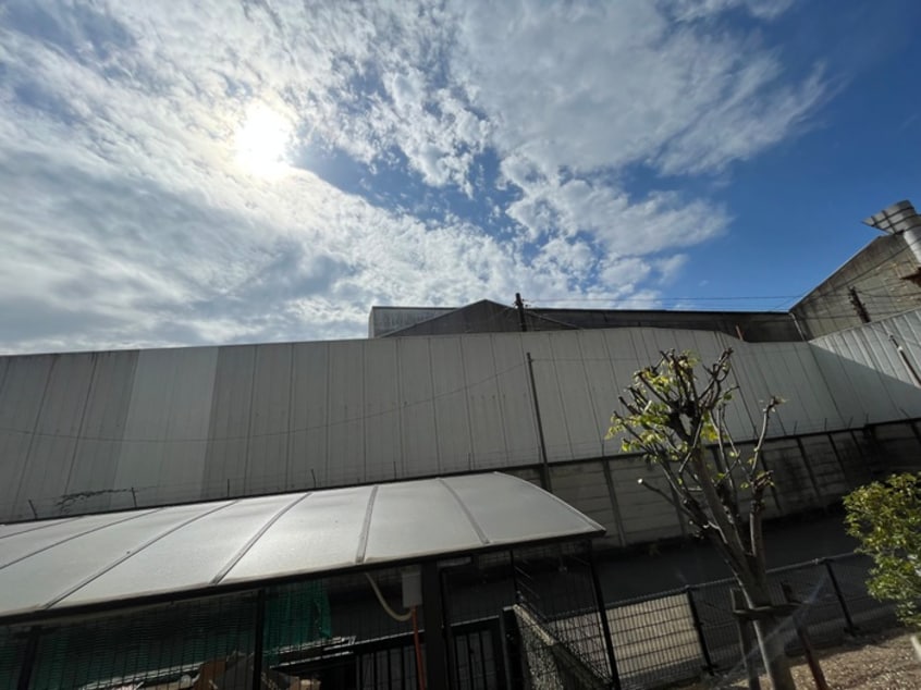 室内からの展望 Ｓｕｎ　Ｗｏｏｄ　Ｃｏｕｒｔ