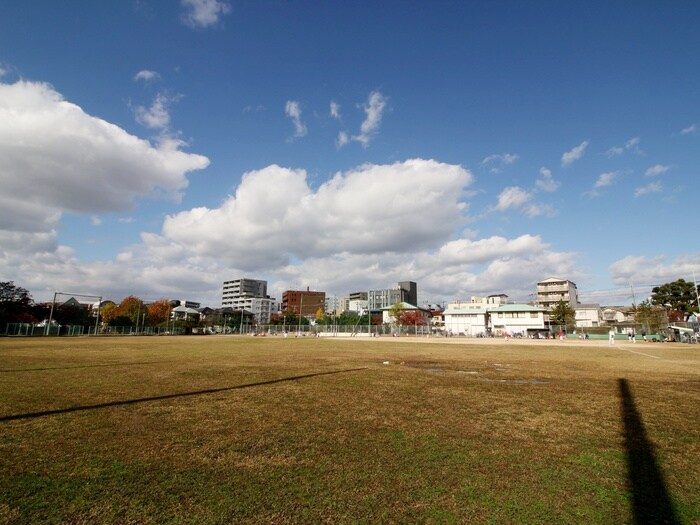 大門公園(公園)まで295m サンライフ末広