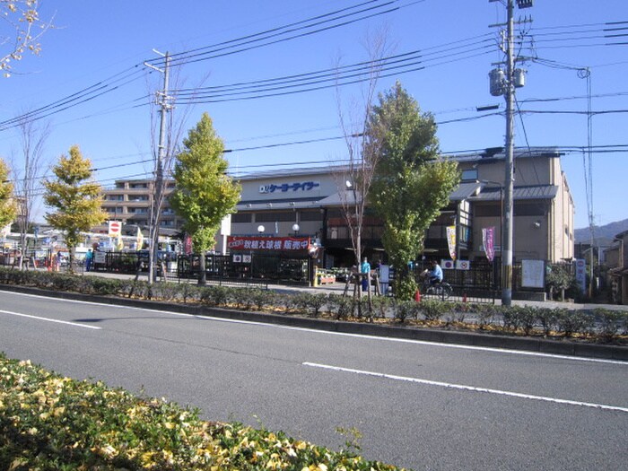 ケーヨーデイツー(電気量販店/ホームセンター)まで330m オアシス