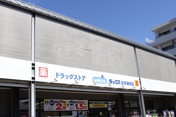 ダックス(ドラッグストア)まで1200m キャピタルサガ