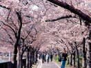 河川公園(公園)まで80m 第二有隣マンション