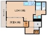 辻村ビル 1LDKの間取り