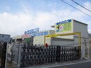 コーナン(電気量販店/ホームセンター)まで750m サンシティ海山Ｂ棟