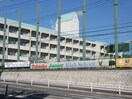 鷹匠中学校(中学校/中等教育学校)まで400m 大和スカイハイツ