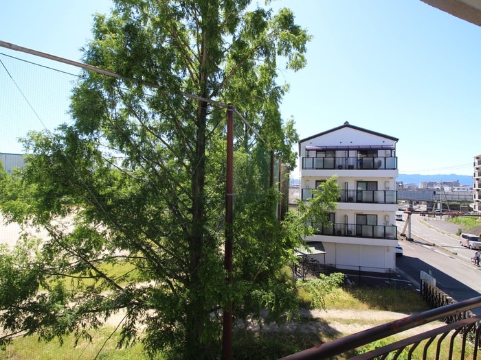 室内からの展望 レドンダカサ玉川
