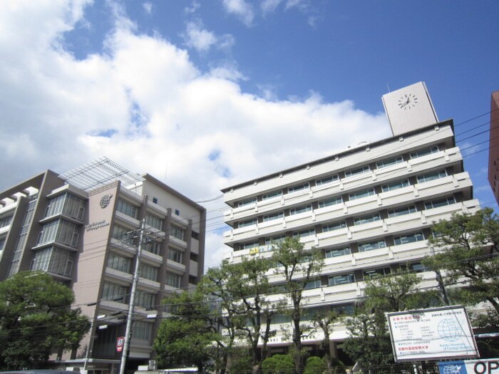 京都外国語大学(大学/短大/専門学校)まで799m ハイネス山ノ内