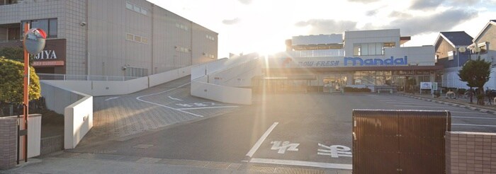 万代 泉大津条南店(スーパー)まで800m ビーチマンションⅡ