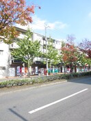 シルベーヌ北山の外観