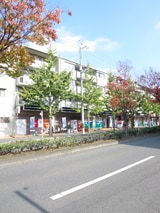 シルベーヌ北山