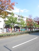 シルベーヌ北山の外観