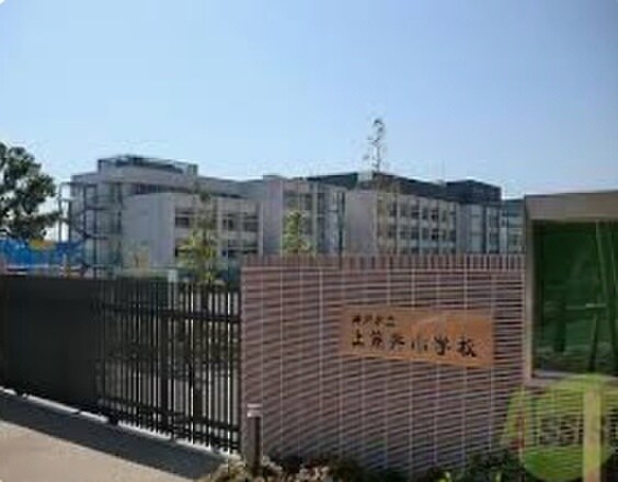 上筒井小学校(小学校)まで650m Ｅｕｐｈｏｒｉａ籠池通