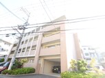 ステラコート