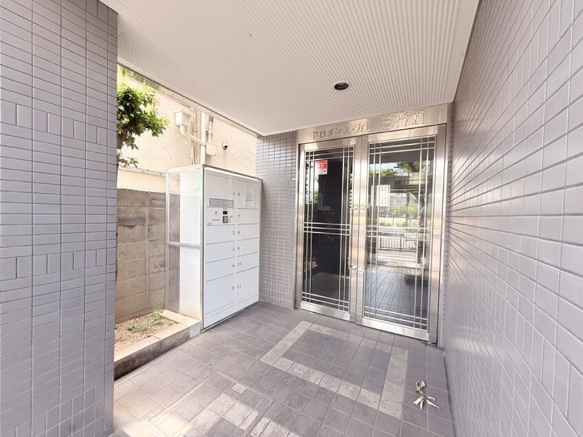 エントランス部分 ﾄﾞﾛﾒﾝｽ ｶｾ 三番館