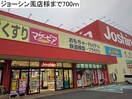ジョーシン(電気量販店/ホームセンター)まで700m サニーハウス奏