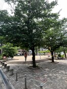 阿弥陀池公園(公園)まで128m 白百合グランドシャト－