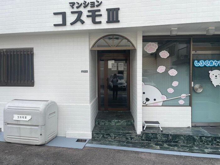 エントランス部分 コスモⅢ