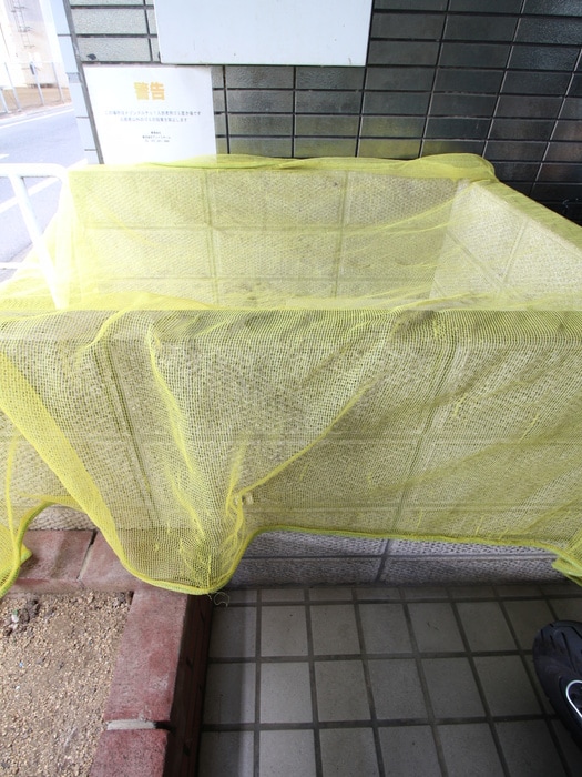 その他 メゾン・ドルチェⅠ