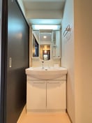 洗面 サン・レスポワール十条