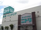 ニトリ大東諸福店(デパート)まで1300m クリエオーレ茨田大宮Ⅱ