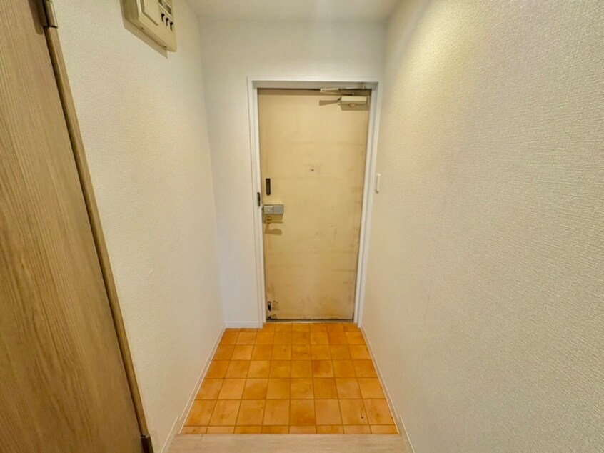 玄関 比枝コ－ポラス上町Ⅰ