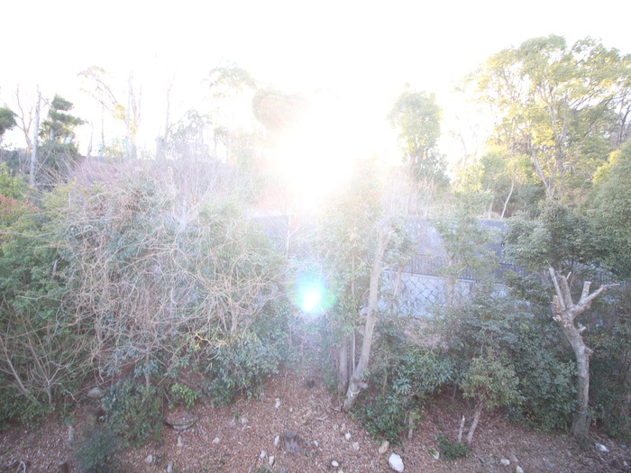 室内からの展望 聚楽荘仁川Ｃ棟