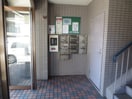 その他 カタ－ラ黄金野